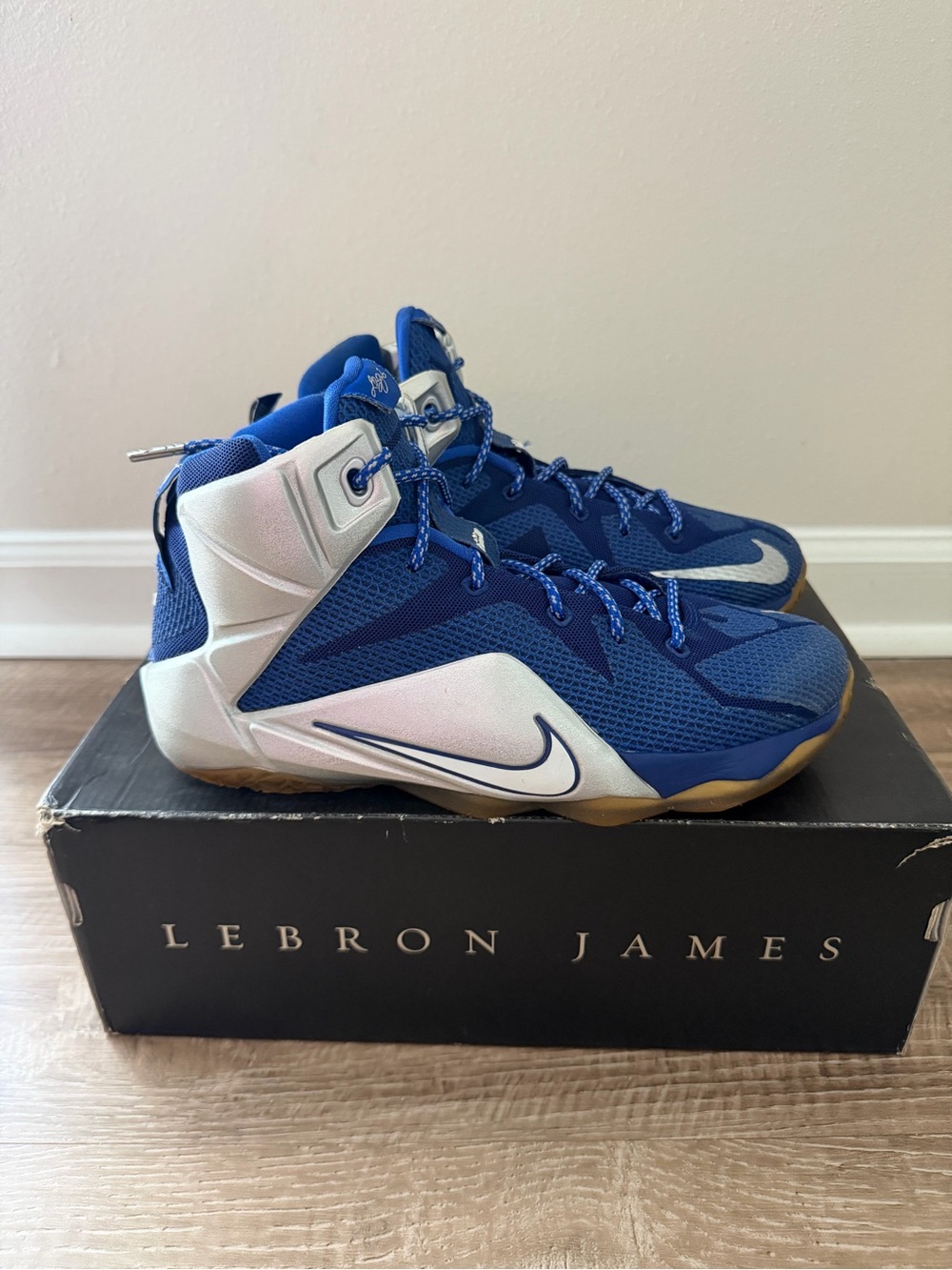 Nike LeBron 12 “what if”